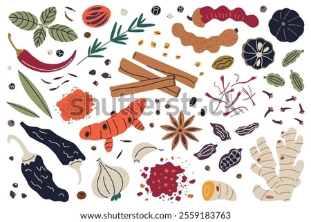 Vector illustrations collection, set of spices and herbs, cinnamon, turmeric, saffron, chili, ginger doodles, garlic, cloves, and cardamom. Colorful flat cartoon style for cooking, food, and culinary