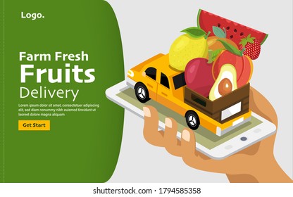 fruit delivered