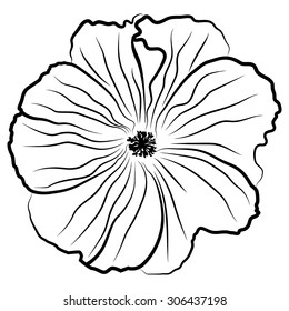 Vector illustrations of contour beautiful flower lavatera