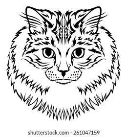 Vector illustrations of contour image of muzzle furry Siberian cat