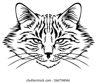 Vector illustrations of contour image of muzzle flurry harmful cat