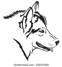 Vector illustrations of contour Malamute dog head