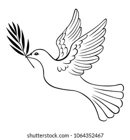 Vector illustrations of contour white dove with a palm branch
