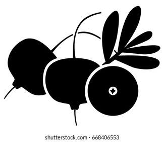 Vector illustrations of cranberry isolated on white