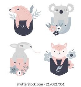 Vector illustrations of a cute pangolin, koala, anteater and fox sitting in little pockets. Adorable animal for prints, frame arts, wall designs