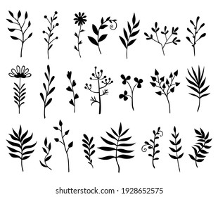 Vector illustrations of decorative herbals, branches and flowers set silhouette