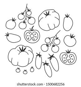 Vector illustrations of different kinds of tomato. Hand drawn various sorts of tomato vegetable. Isolated simple sketch style drawings. Linear vector icons of veggies. Kitchen cooking elements.