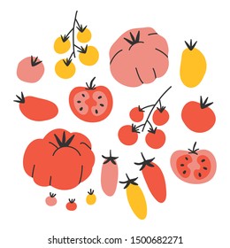 Vector illustrations of different kinds of tomato. Hand drawn various sorts of tomato vegetable. Isolated simple sketch style drawings. Handdrawn vector icons of veggies. Kitchen cooking elements.