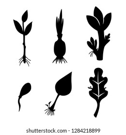 Vector illustrations of different plants reproduction set icon