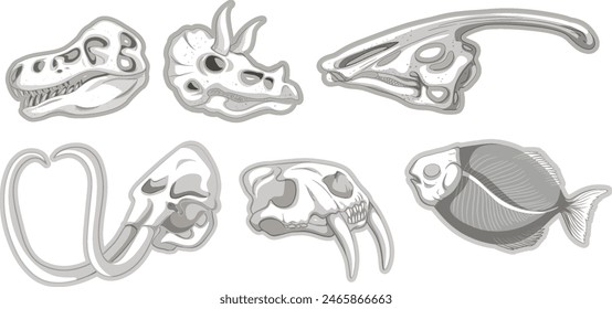 Vector illustrations of diverse animal skulls