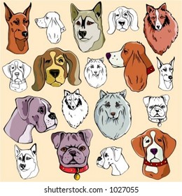 Vector illustrations of dog heads in color, and black and white renderings.