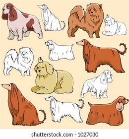 Vector illustrations of dogs in color, and black and white renderings.