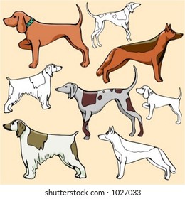 Vector illustrations of dogs in color, and black and white renderings.