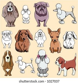 Vector illustrations of dogs in color, and black and white renderings.