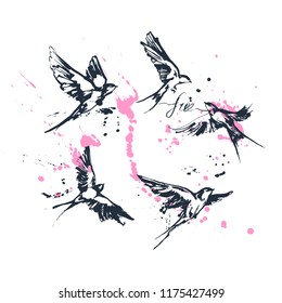 Vector illustrations of a dynamic flying swallow birds set. Modern splashing ink sketchy painting artwork. Blue drawing with pink splashes. Perfect tattoo or t-shirt print.