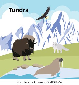 Vector illustrations  Eco style life forest Wildlife. Forest