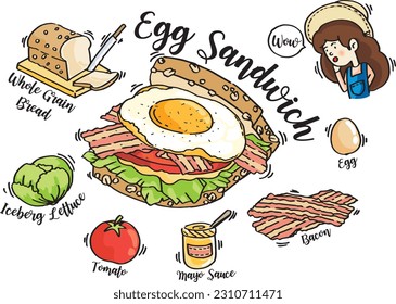Vector illustrations of Egg Sandwich with ingredients