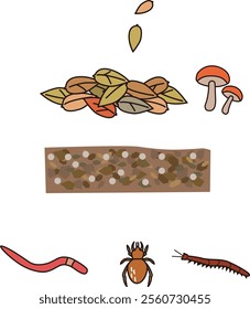 Vector illustrations of fallen leaves and earthworms, tick,  scutigera coleoptrata, and organisms in the soil