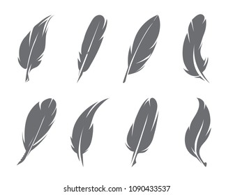 Vector illustrations of feathers