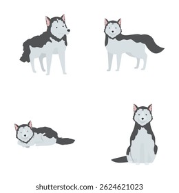 Vector illustrations featuring a siberian husky in different poses, perfect for petrelated designs