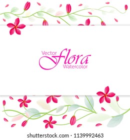 Vector illustrations of flora isolated in the form of watercolor.