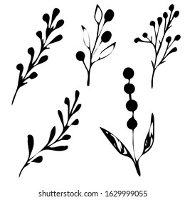 Vector illustrations - Floral set (flowers, leaves and branches). Hand drawn design elements in sketch style. Perfect for invitations, greeting cards, prints