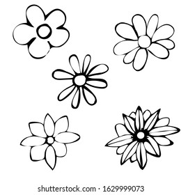 Vector illustrations - Floral set (flowers, leaves and branches). Hand drawn design elements in sketch style. Perfect for invitations, greeting cards, prints