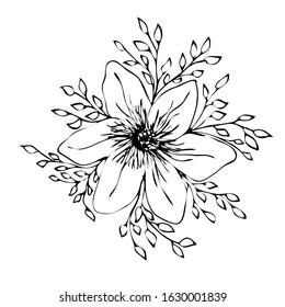 Vector illustrations - Floral set (flowers, leaves and branches). Hand drawn design elements in sketch style. Perfect for invitations, greeting cards, prints