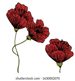 Vector illustrations - Floral set (flowers, leaves and branches). Hand drawn design elements in sketch style. Perfect for invitations, greeting cards, prints