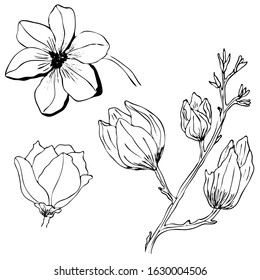 Vector illustrations - Floral set (flowers, leaves and branches). Hand drawn design elements in sketch style. Perfect for invitations, greeting cards, prints