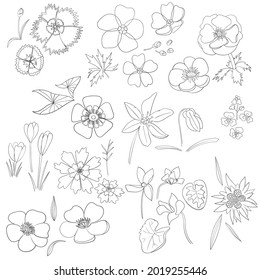 Ilustraciones vectoriales, Montaje floral, flores, hojas y ramas. elementos de diseño dibujados a mano en estilo de esbozo. Perfecto para invitaciones, tarjetas de felicitación, tatuajes, impresiones