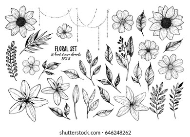 Vector illustrations - Floral set (flowers, leaves and branches). 30 hand drawn design elements in sketch style.  Perfect for invitations, greeting cards, tattoo, prints etc