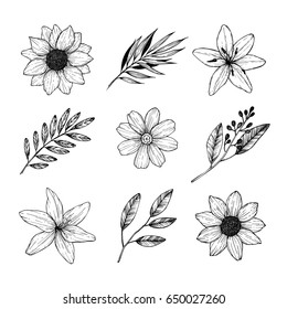 Vector illustrations - Floral set (flowers, leaves and branches). Hand drawn design elements in sketch style. Perfect for invitations, greeting cards, tattoo, prints etc