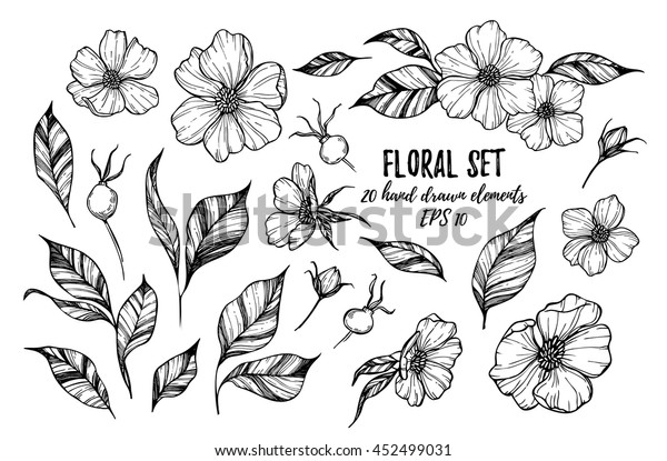 ベクターイラスト 花柄セット 花 葉 ベリー 個の手描きのエレメント タトゥー のベクター画像素材 ロイヤリティフリー