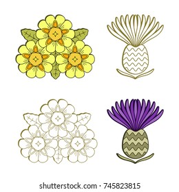 Vector illustrations of flowers: spring English primrose and meadow thistle