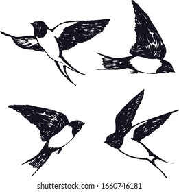 Vector illustrations of the flying swallows Isolated objects Hand drawing Sketch style set