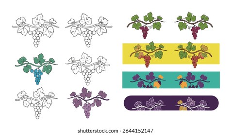 Vector Illustrations of Grape Vine Decorations For Different Purposes Collection of Varieties