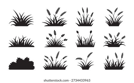 Vector illustrations of grass clumps, wheat ears, reeds and bushes on white background.