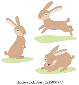 Vector Illustrations with Hares in different poses, a rabbit is standing, running, sleeping. Cartoon rabbits set. Object on a white background.