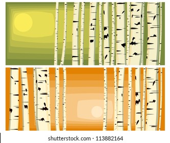 Vector illustrations of horizontal background with many birches trunks in sun light in green and orange tone, with space for text.