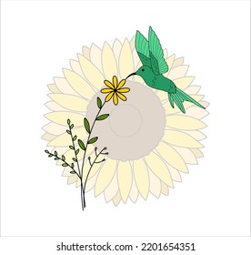 Vector Illustrations of a Hummingbird on a Flower Plants 