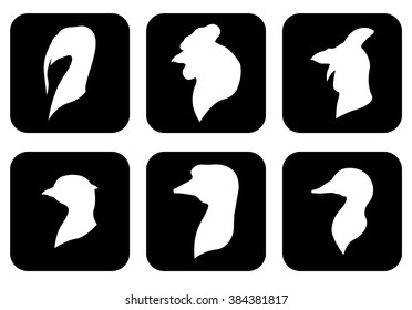 Vector illustrations of icon farm birds heads silhouettes set on black background