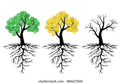 Vector Illustrations Icon Tree Green Leaves Stock Vector (Royalty Free ...