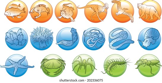 Vector illustrations icons of the Animals kingdom