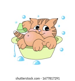 vector illustrations imaje of cartoon ginger tabby kitten bathes in a basin