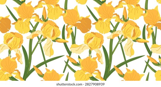 Vector illustrations of irises. Seamless pattern of spring yellow flowers. Vintage romantic print Art Nouveau style. Background for wedding invitations and greeting cards. Perfect for textile design.