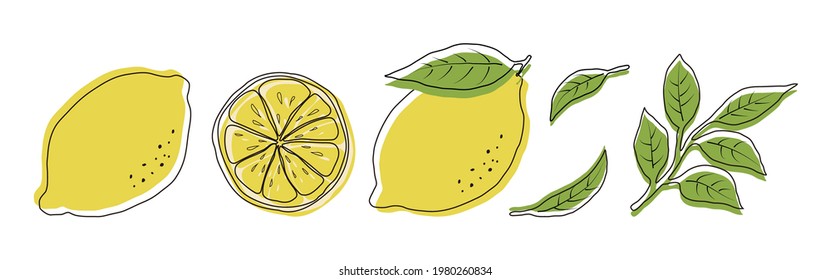 vector illustrations of lemons and leaves for banners, cards, flyers, social media wallpapers, etc.