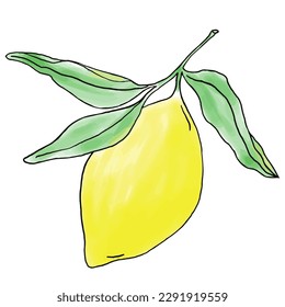 vector illustrations of lemons and leaves for banners, cards, flyers, social media wallpapers.