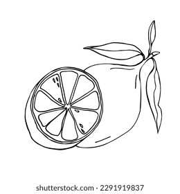 ilustraciones vectoriales de limones y hojas para banners, tarjetas, volantes, diseño superficial