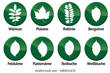 vector illustrations of a many foliage leaves isolated